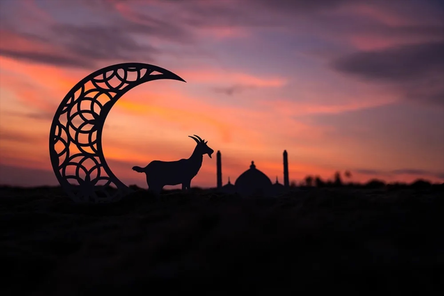 UAE Cancels Millions in Debts for Citizens During Eid al-Adha | Die Geissens Real Estate | Luxus Immobilien mit Carmen und Robert Geiss – Die Geissens in Dubai